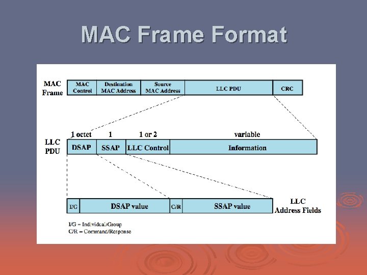 MAC Frame Format 