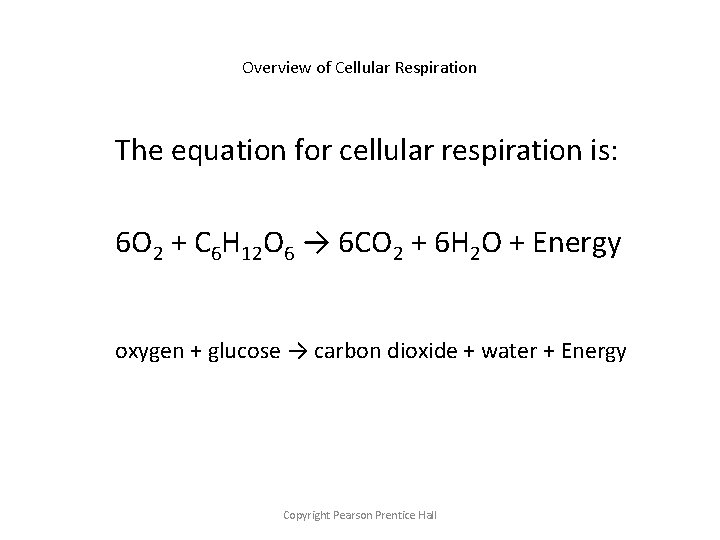 Cellular Respiration Chemical Pathways Copyright Pearson Prentice Hall
