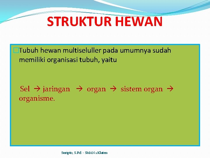 STRUKTUR HEWAN �Tubuh hewan multiseluller pada umumnya sudah memiliki organisasi tubuh, yaitu Sel jaringan