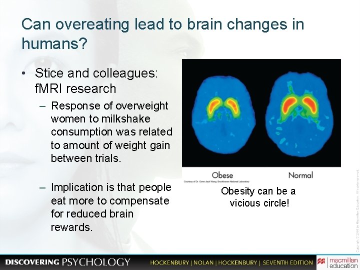 Can overeating lead to brain changes in humans? • Stice and colleagues: f. MRI