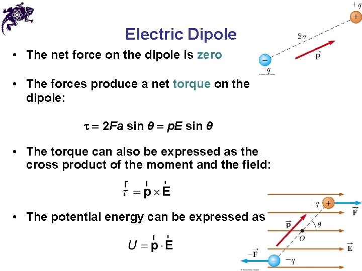 Electric Dipole • The net force on the dipole is zero • The forces