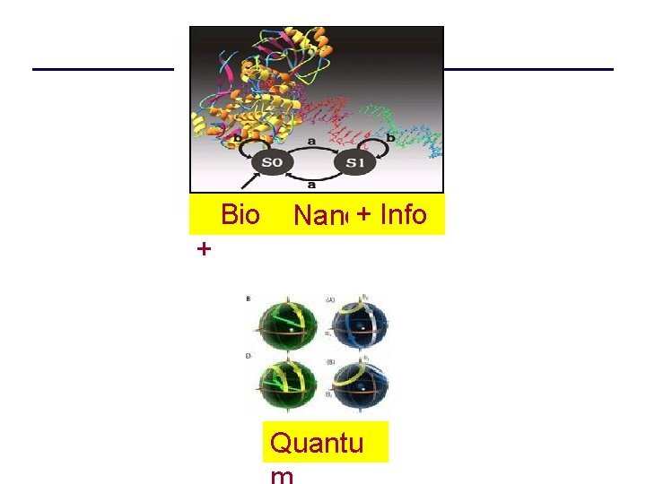 Bio Nano+ Info + Quantu 
