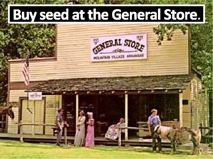 Buy seed at the General Store. 