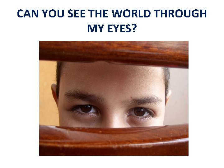 CAN YOU SEE THE WORLD THROUGH MY EYES? 