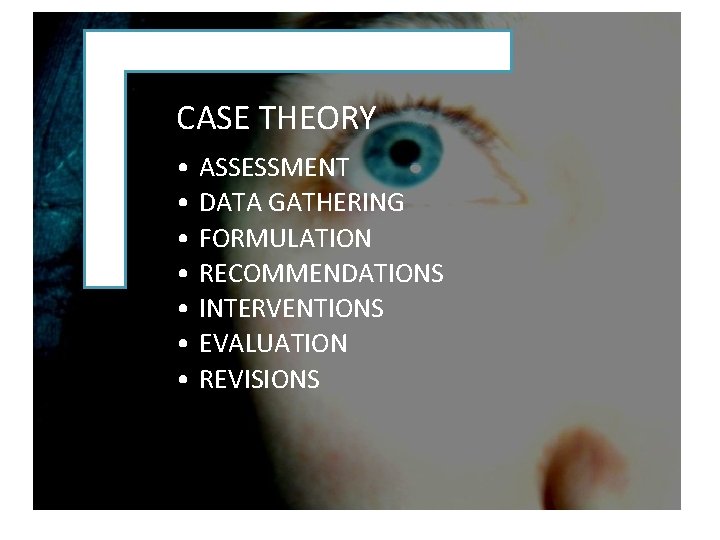 CASE THEORY • ASSESSMENT • DATA GATHERING • FORMULATION • RECOMMENDATIONS • INTERVENTIONS •