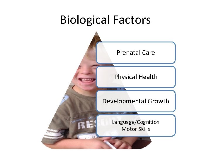 Biological Factors Prenatal Care Physical Health Developmental Growth Language/Cognition Motor Skills 