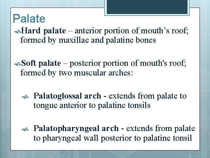 Palate Hard palate – anterior portion of mouth’s roof; formed by maxillae and palatine