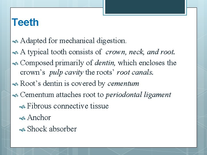 Teeth Adapted for mechanical digestion. A typical tooth consists of crown, neck, and root.