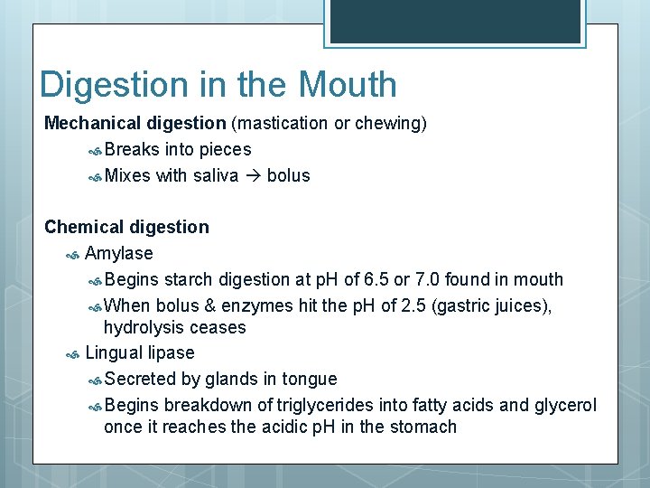 Digestion in the Mouth Mechanical digestion (mastication or chewing) Breaks into pieces Mixes with