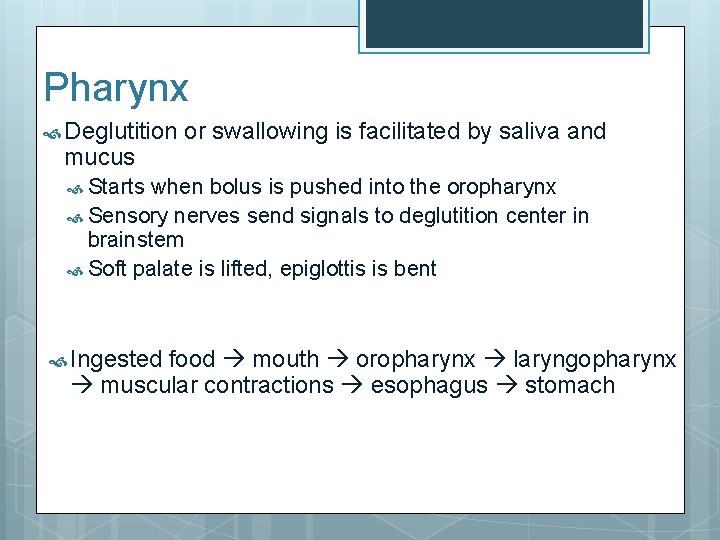 Pharynx Deglutition mucus or swallowing is facilitated by saliva and Starts when bolus is