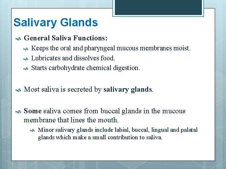 Salivary Glands General Saliva Functions: Keeps the oral and pharyngeal mucous membranes moist. Lubricates