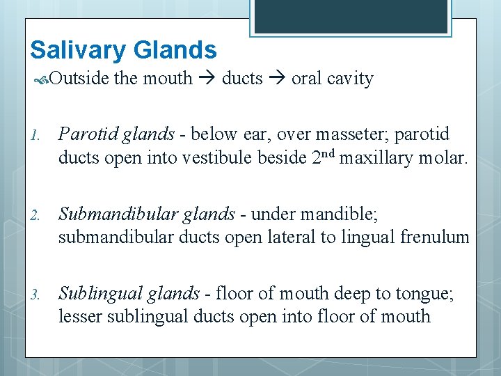 Salivary Glands Outside the mouth ducts oral cavity 1. Parotid glands - below ear,