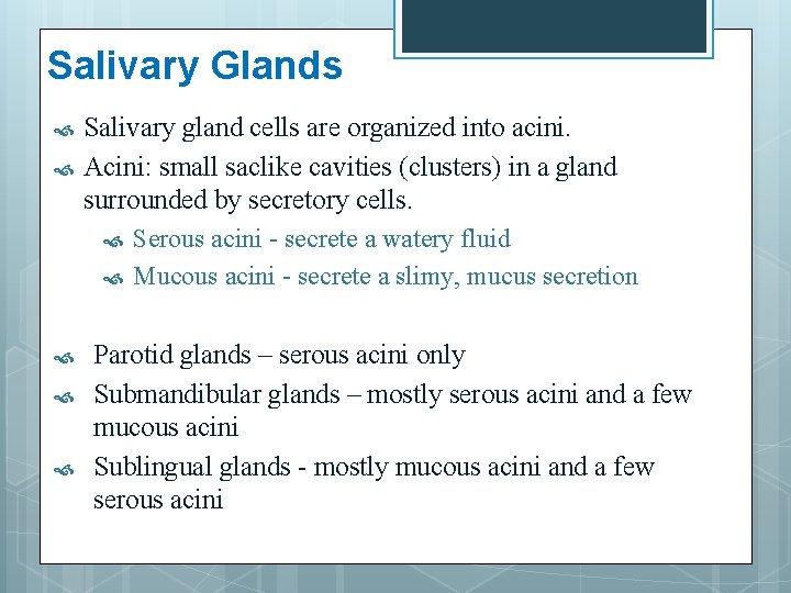 Salivary Glands Salivary gland cells are organized into acini. Acini: small saclike cavities (clusters)