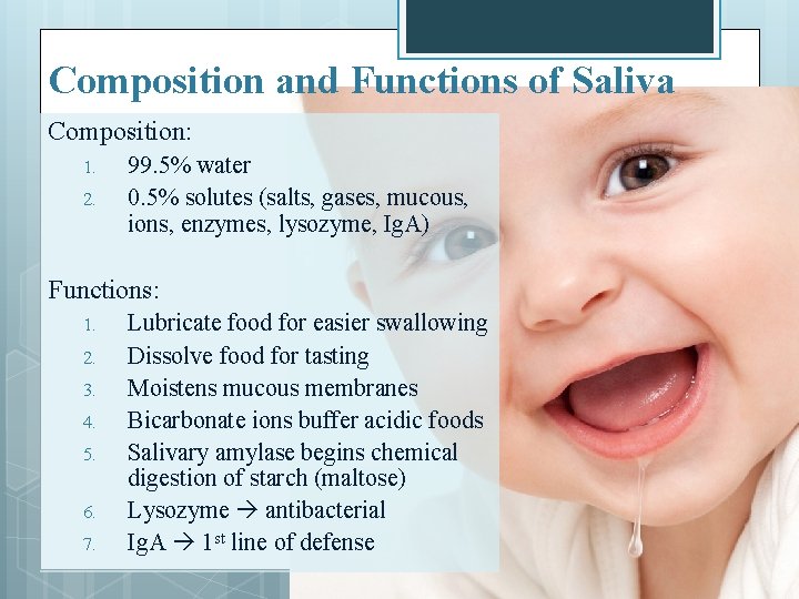 Composition and Functions of Saliva Composition: 1. 2. 99. 5% water 0. 5% solutes