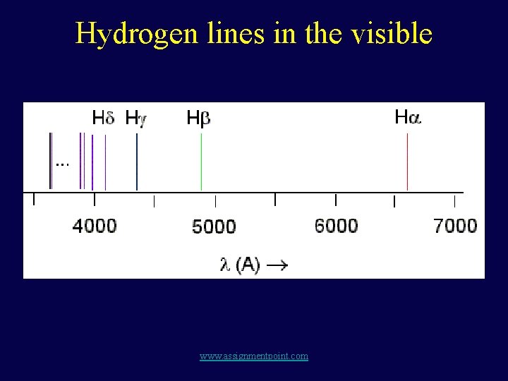 Hydrogen lines in the visible www. assignmentpoint. com 