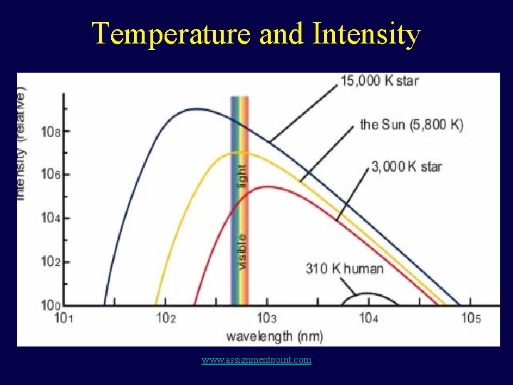 Temperature and Intensity www. assignmentpoint. com 