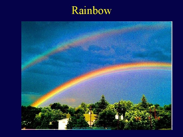 Rainbow www. assignmentpoint. com 