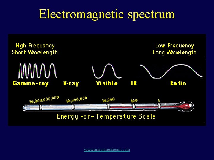 Electromagnetic spectrum www. assignmentpoint. com 