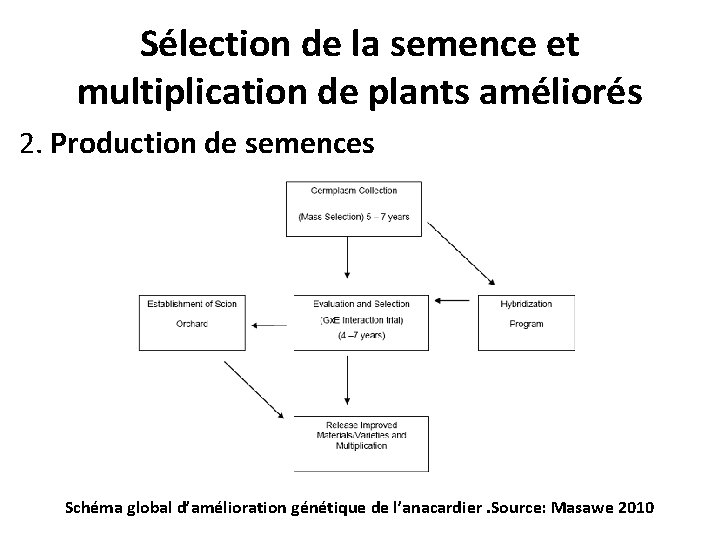 Sélection de la semence et multiplication de plants améliorés 2. Production de semences Schéma