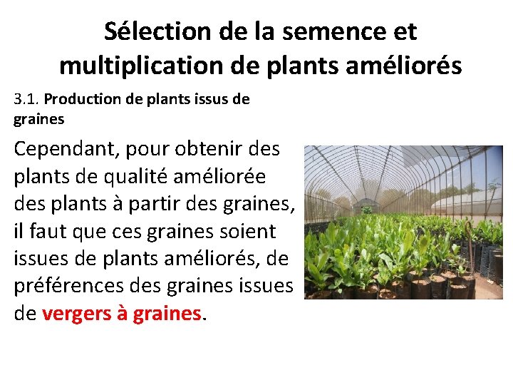 Sélection de la semence et multiplication de plants améliorés 3. 1. Production de plants