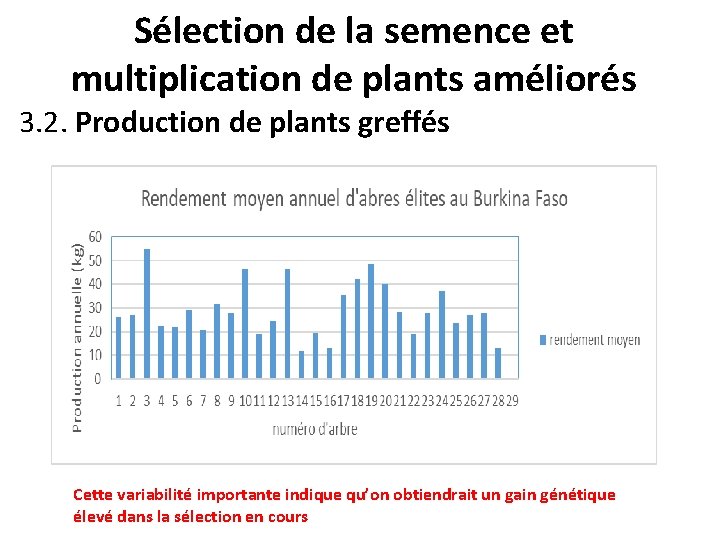 Sélection de la semence et multiplication de plants améliorés 3. 2. Production de plants