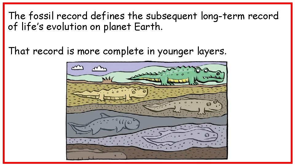 The fossil record defines the subsequent long-term record of life’s evolution on planet Earth.