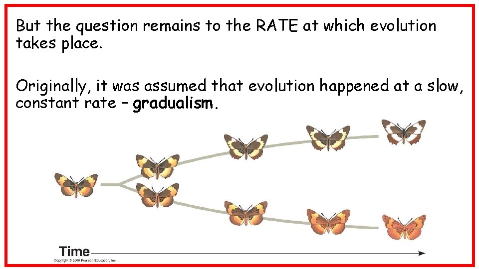But the question remains to the RATE at which evolution takes place. Originally, it