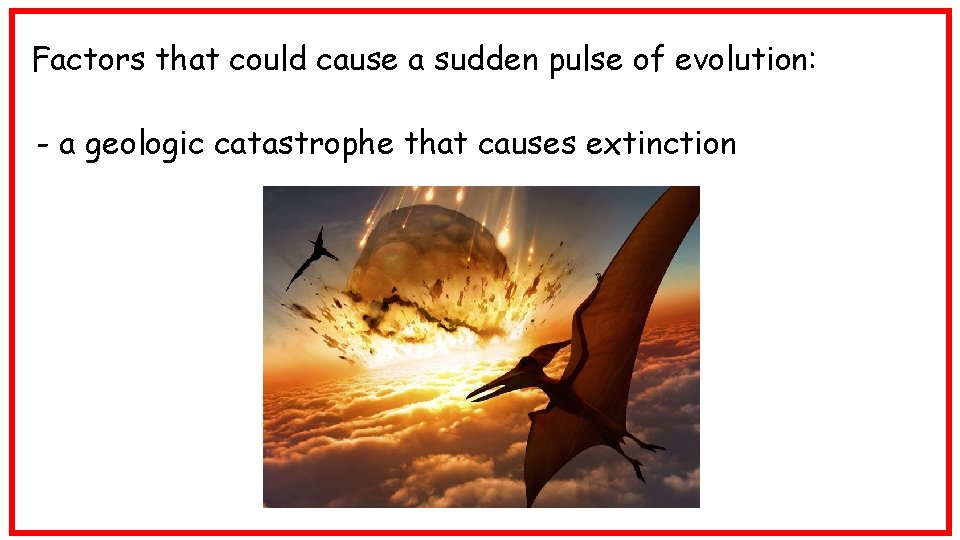 Factors that could cause a sudden pulse of evolution: - a geologic catastrophe that