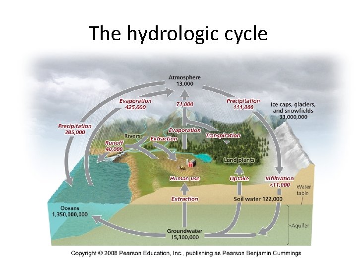The hydrologic cycle 