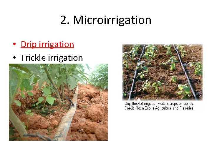 2. Microirrigation • Drip irrigation • Trickle irrigation 