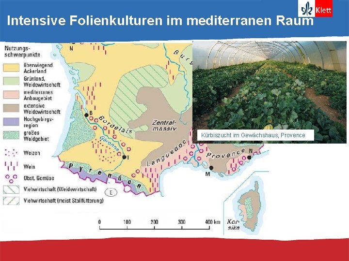 Intensive Folienkulturen im mediterranen Raum Kürbiszucht im Gewächshaus, Provence 