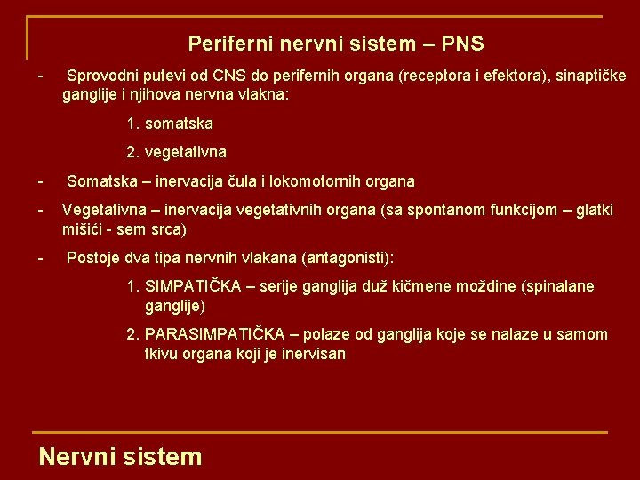 Periferni nervni sistem – PNS - Sprovodni putevi od CNS do perifernih organa (receptora