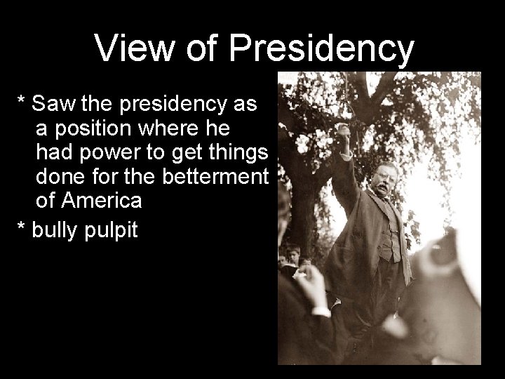 View of Presidency * Saw the presidency as a position where he had power