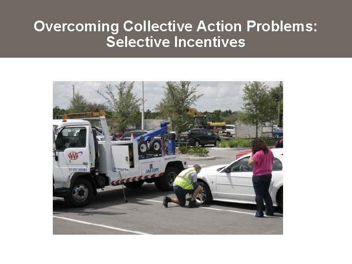 Overcoming Collective Action Problems: Selective Incentives 