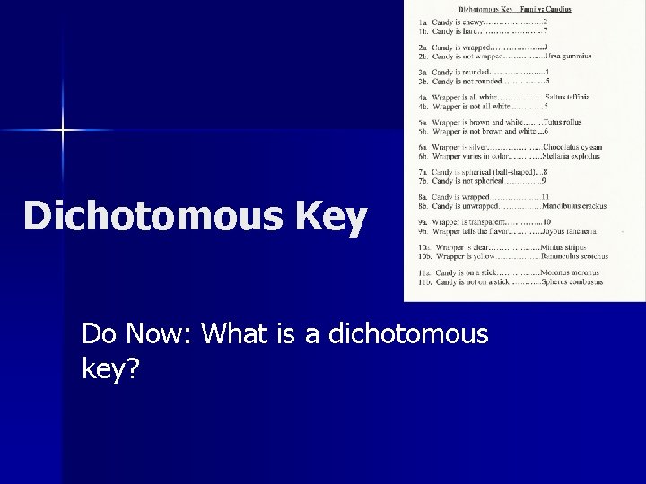 Dichotomous Key Do Now: What is a dichotomous key? 