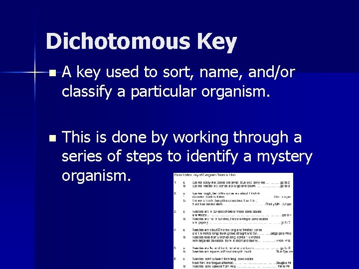 Dichotomous Key n A key used to sort, name, and/or classify a particular organism.