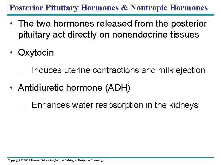 Posterior Pituitary Hormones & Nontropic Hormones • The two hormones released from the posterior
