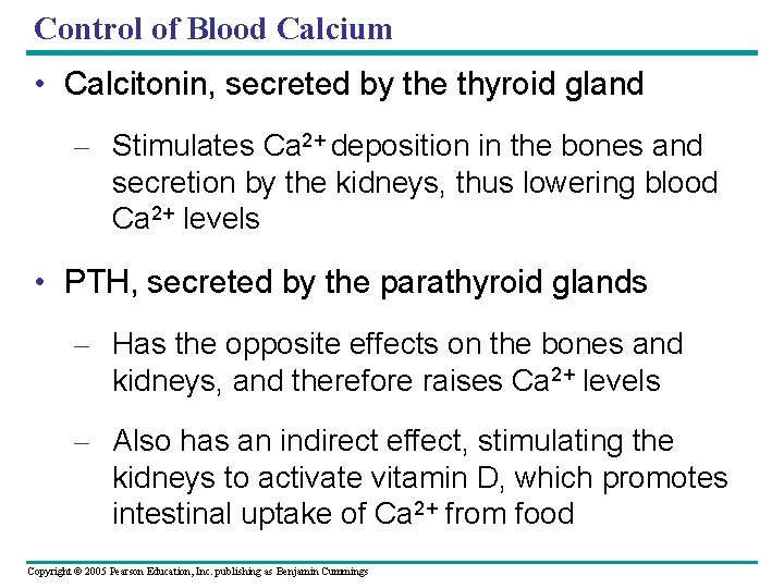 Control of Blood Calcium • Calcitonin, secreted by the thyroid gland – Stimulates Ca