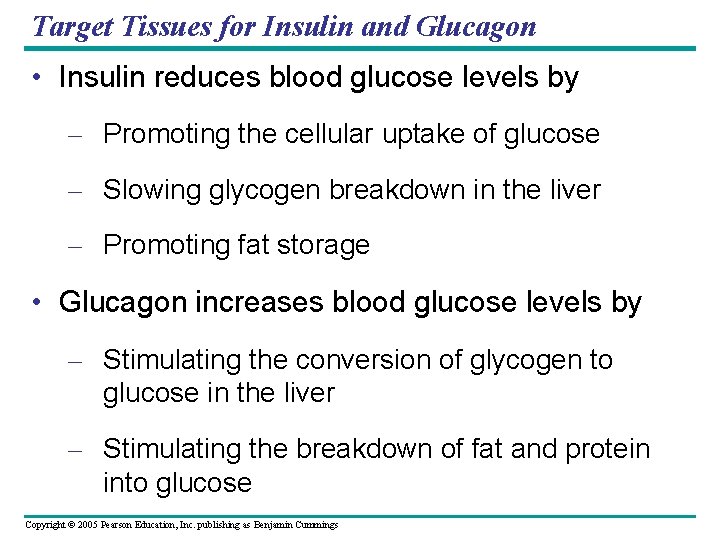 Target Tissues for Insulin and Glucagon • Insulin reduces blood glucose levels by –