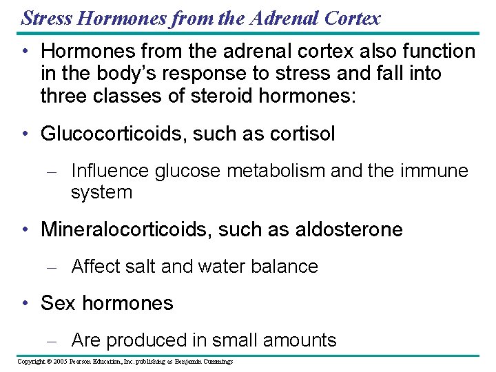 Stress Hormones from the Adrenal Cortex • Hormones from the adrenal cortex also function