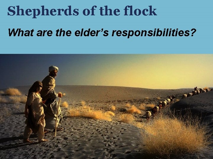 Shepherds of the flock What are the elder’s responsibilities? Shepherds of the flock What are the elder’s responsibilities?