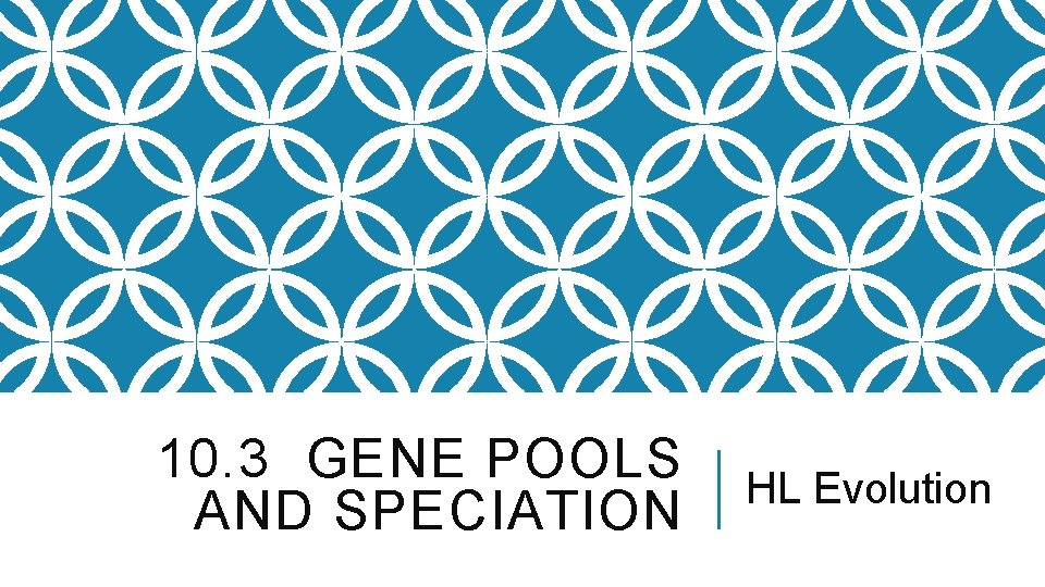 10. 3 GENE POOLS AND SPECIATION HL Evolution 