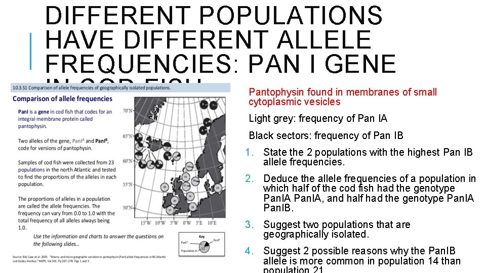 DIFFERENT POPULATIONS HAVE DIFFERENT ALLELE FREQUENCIES: PAN I GENE IN COD FISH Pantophysin found