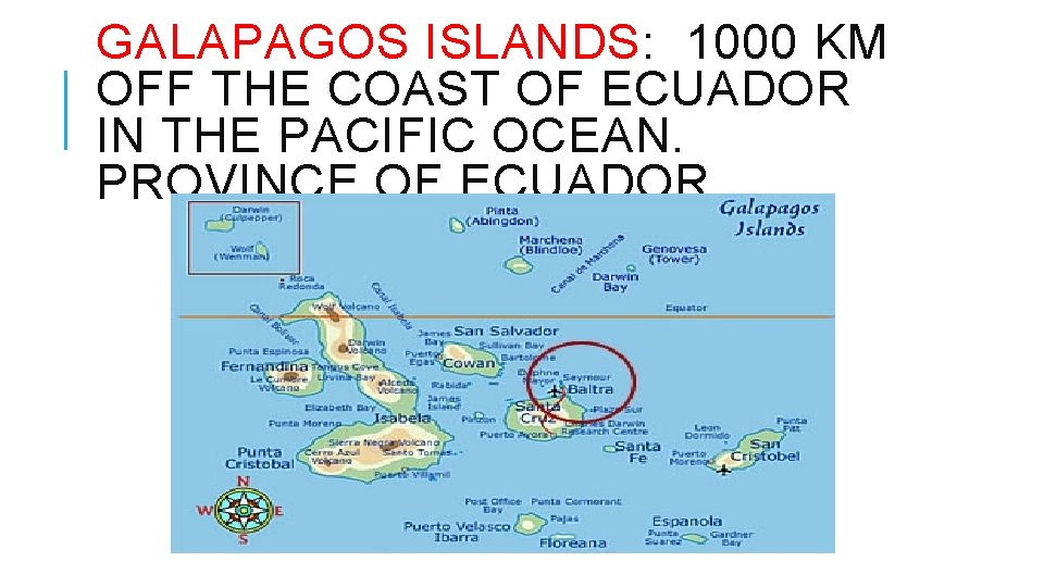 GALAPAGOS ISLANDS: 1000 KM OFF THE COAST OF ECUADOR IN THE PACIFIC OCEAN. PROVINCE