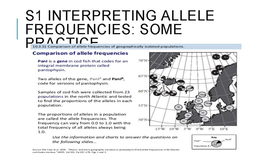 S 1 INTERPRETING ALLELE FREQUENCIES: SOME PRACTICE 