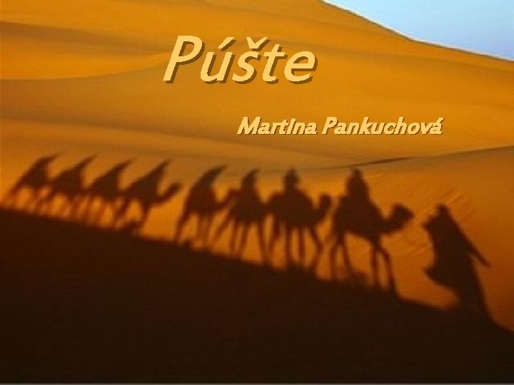 Púšte Martina Pankuchová 