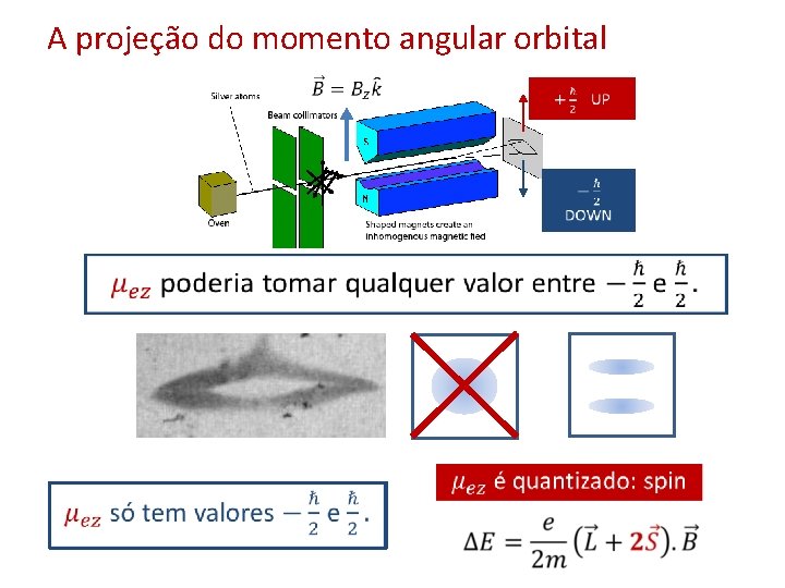 A projeção do momento angular orbital • 