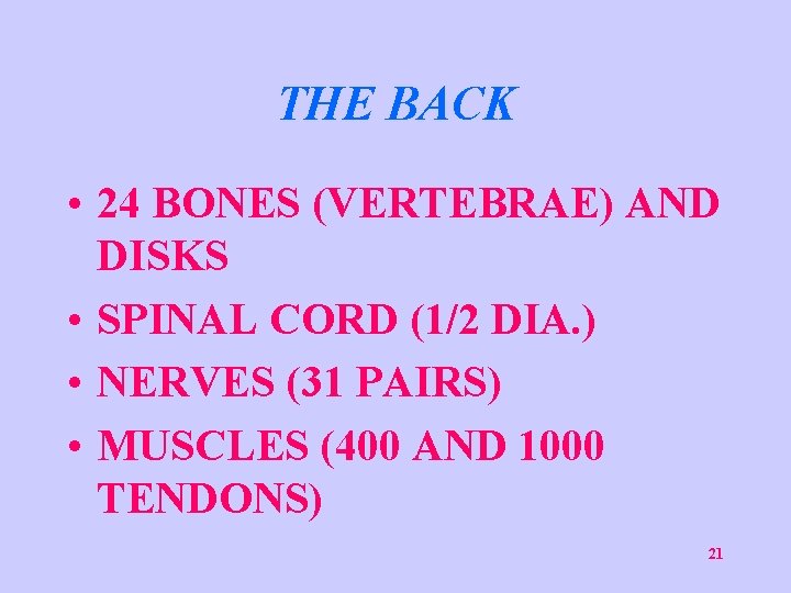 THE BACK • 24 BONES (VERTEBRAE) AND DISKS • SPINAL CORD (1/2 DIA. )