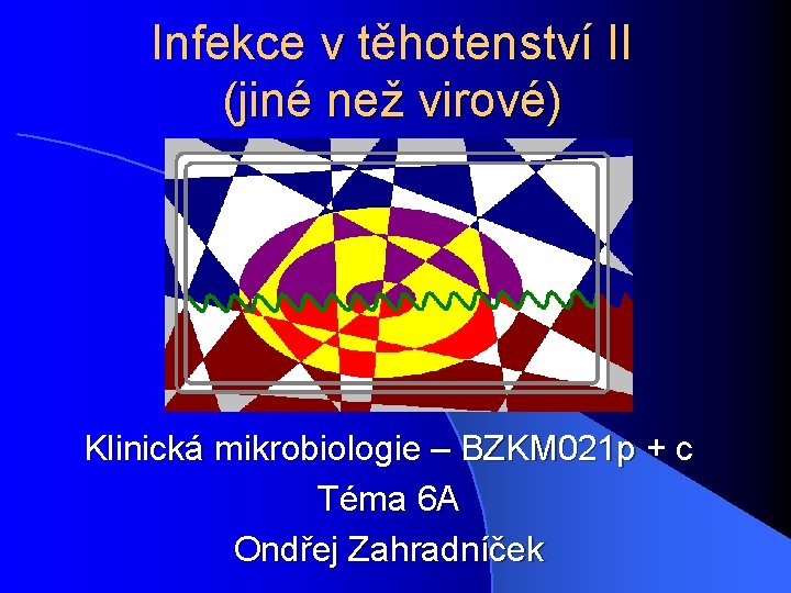 Infekce v těhotenství II (jiné než virové) Klinická mikrobiologie – BZKM 021 p +