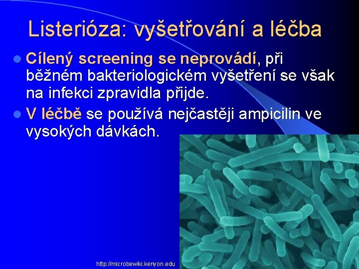 Listerióza: vyšetřování a léčba l Cílený screening se neprovádí, při běžném bakteriologickém vyšetření se